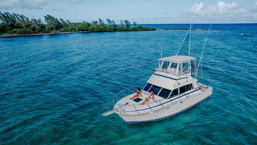 Picture 6 for Activity Playa del Carmen: Spectacular Fishing Experience - 38ft boat