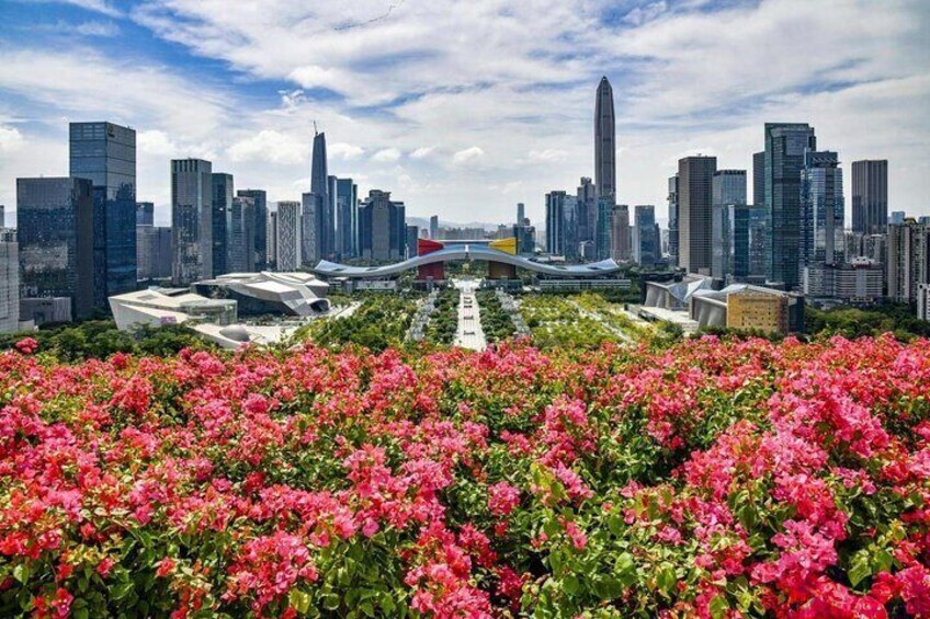 Shenzhen Private Guide Day Tour with Car Service