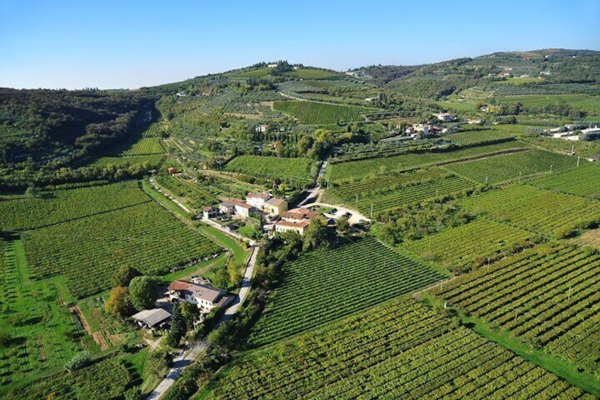 East Valpolicella 