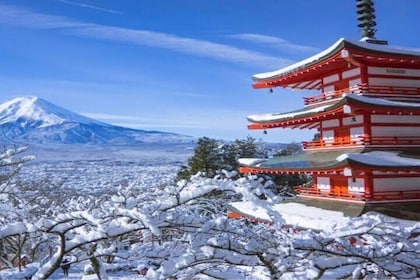 MT FUJI with Private Tour