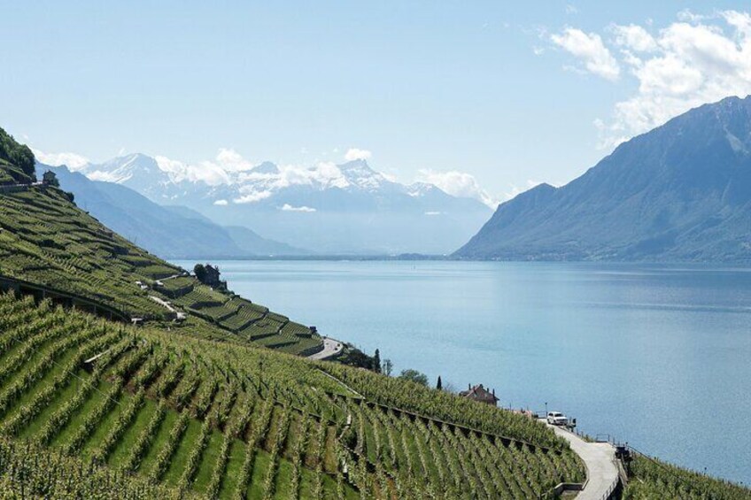 https://www.tripadvisor.com/PreviewImage?p=11&img=359749912