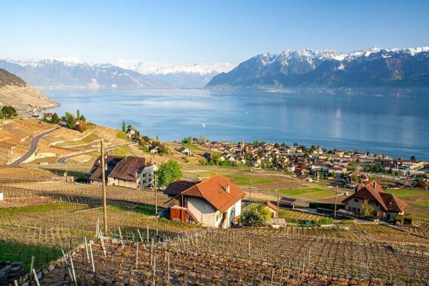 Lavaux Wine and Vineyard Experience with Boat Cruise