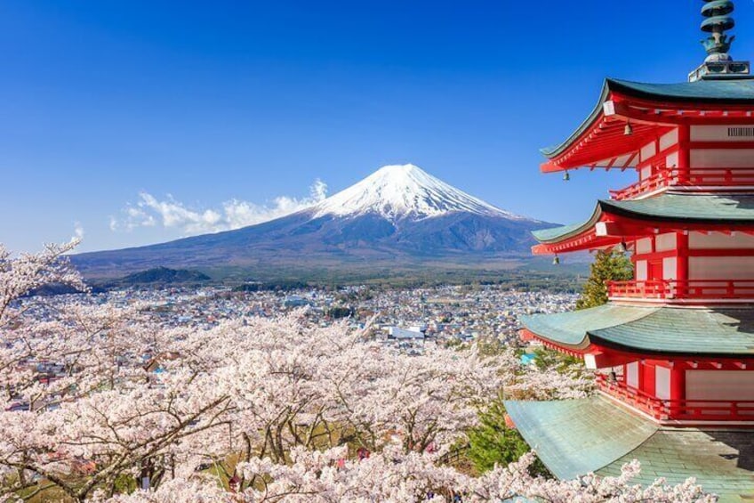 Mount Fuji and Hakone Private Tour with English Speaking Driver