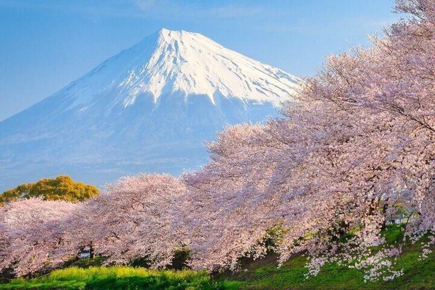 Mount Fuji and Hakone Private Tour with English Speaking Driver