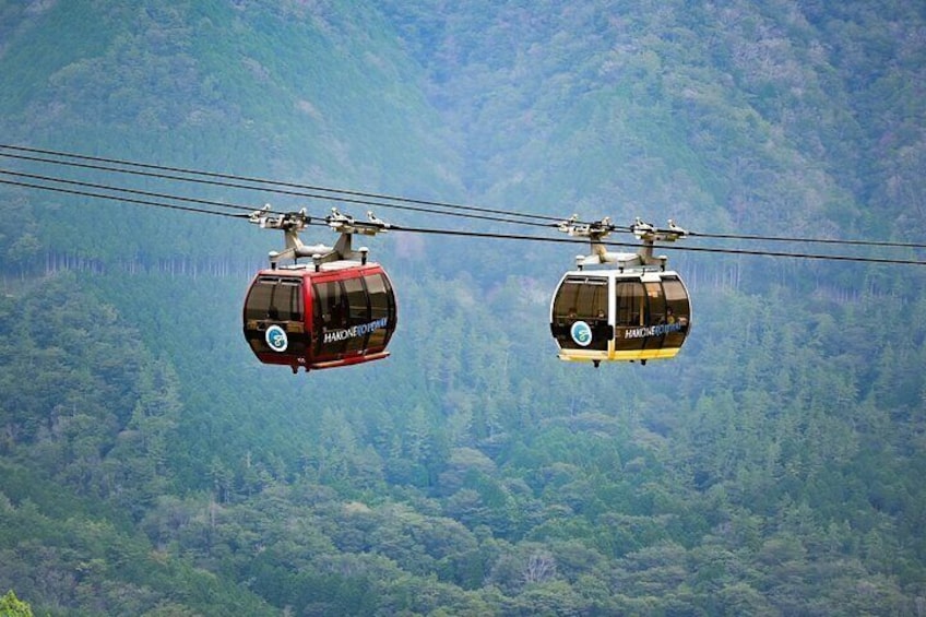 Mount Fuji and Hakone Private Tour with English Speaking Driver