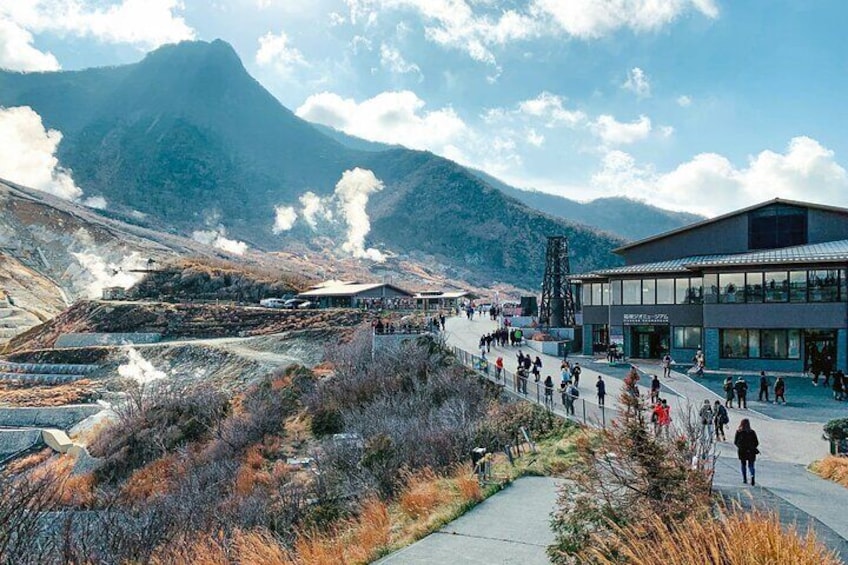 Mount Fuji and Hakone Private Tour with English Speaking Driver