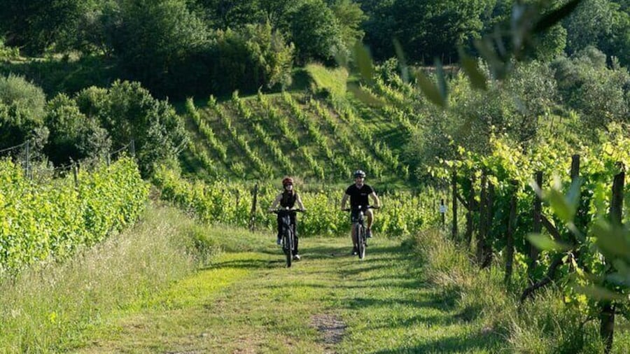 From Lucca Tour In E Bike And Wine Tasting In Chianti