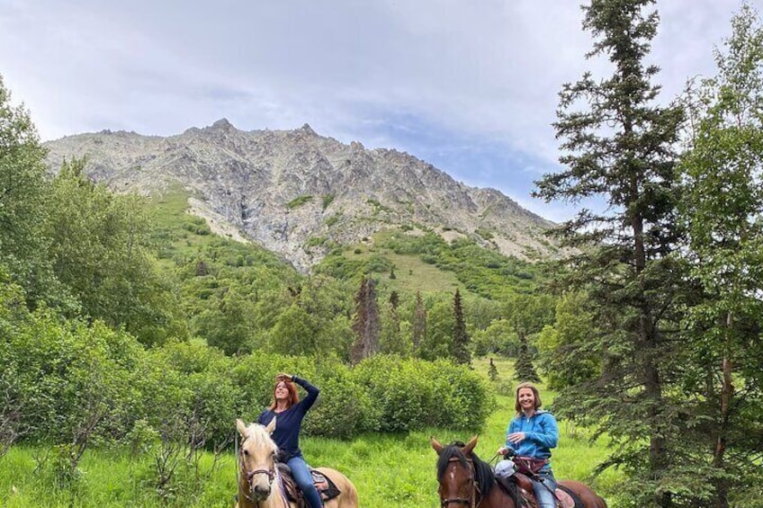 More mountains, yes please!