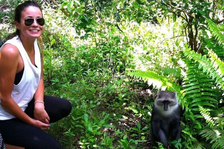 Jozani Forest, Stone Town & Spice Market Full Day Tour - Zanzibar
