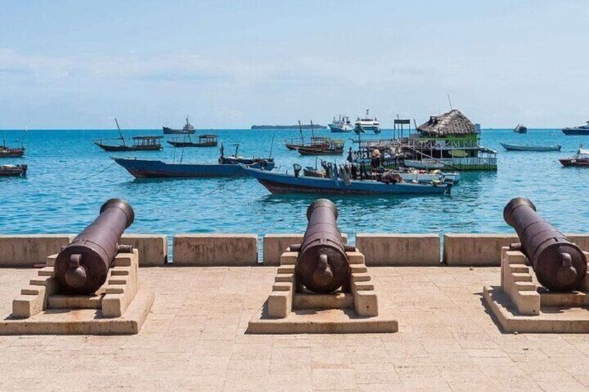 Jozani Forest, Stone Town & Spice Market Full Day Tour - Zanzibar