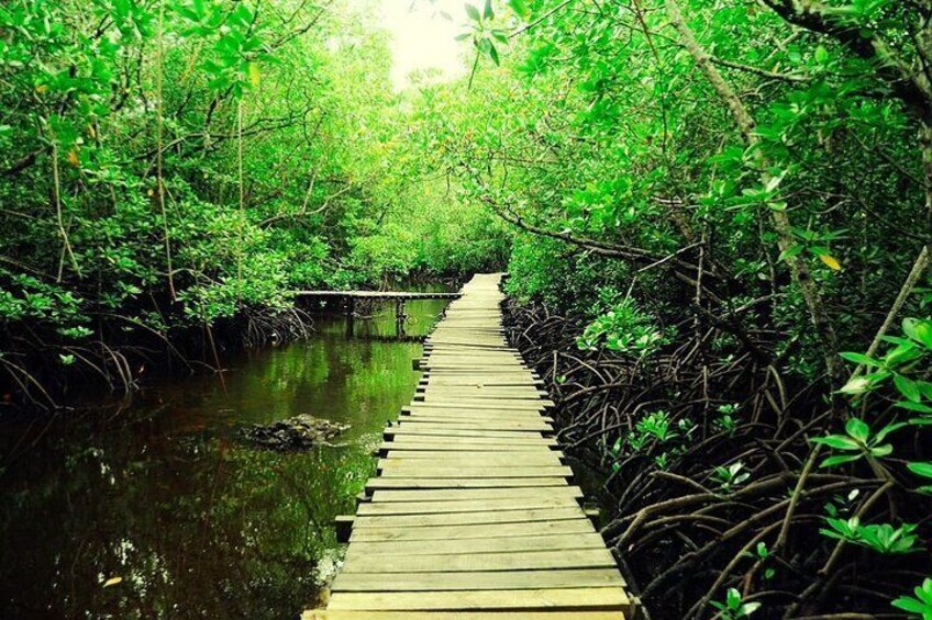 Jozani Forest, Stone Town & Spice Market Full Day Tour - Zanzibar