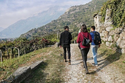 From Turin: The Forgotten Wine Roads of Piedmont