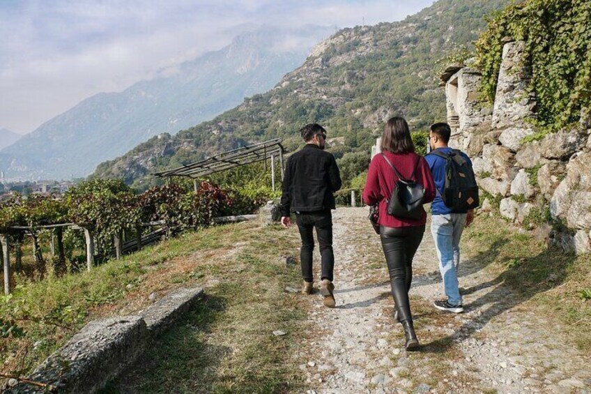Forgotten Wine Trails of Piedmont - Private Tour from Turin
