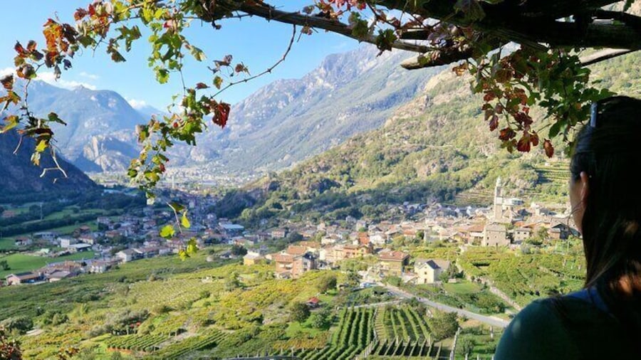 Forgotten Wine Trails of Piedmont - Private Tour from Turin
