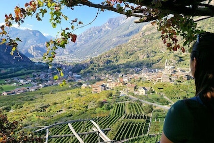 *From Turin* - Forgotten Wine Trails of Piedmont