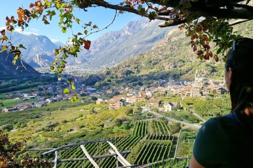 Forgotten Wine Trails of Piedmont - Private Tour from Turin