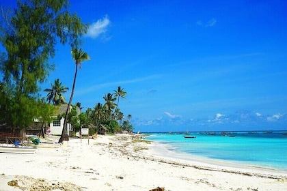 Nungwi Village & Sea Turtle Swimming Trip with Transfer –Zanzibar