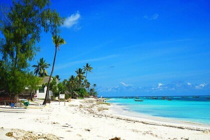 Nungwi Village & Sea Turtle Swimming Trip with Transfer –Zanzibar