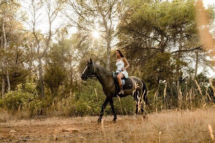 Douro Valley Paardrijden en boslunch met wijnproeverij