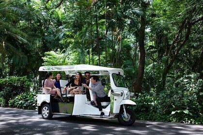 Airport Transfer To Phnom Penh City By Electric Tuk