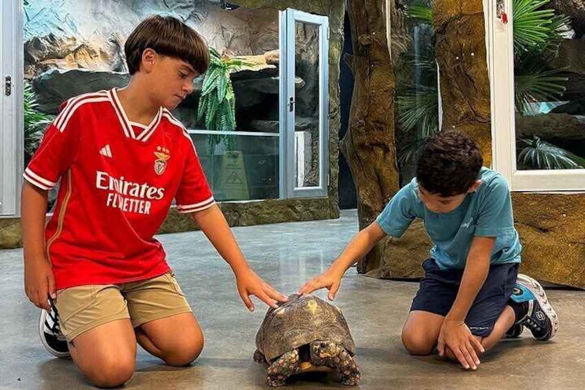 Learn about the All Inclusive Science Park 