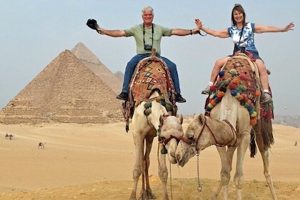 Half an Hour Camel Ride in Giza