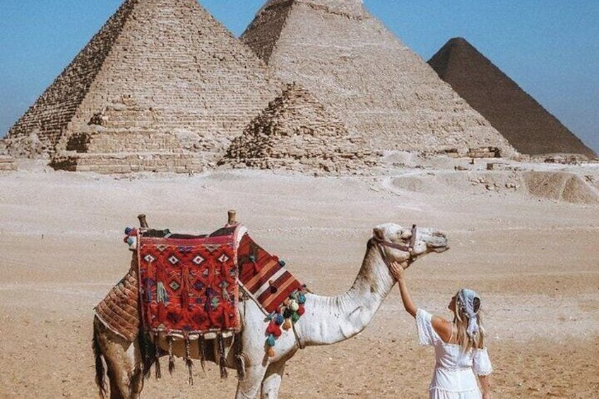 Half an Hour Camel Ride in Giza
