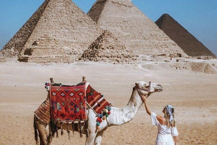 Half an Hour Camel Ride in Giza
