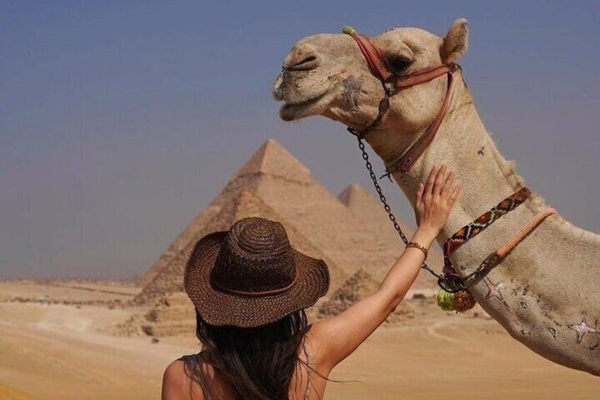 Half an Hour Camel Ride in Giza