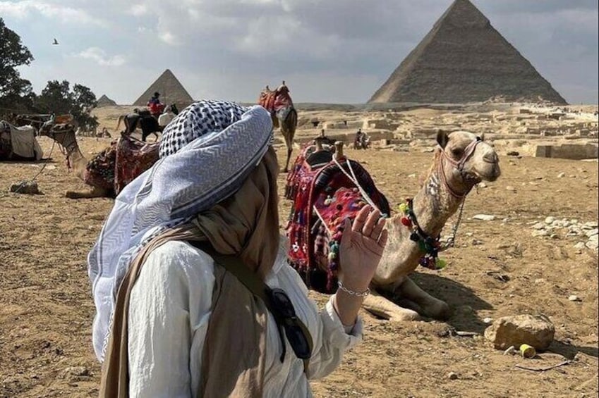 Half an Hour Camel Ride in Giza
