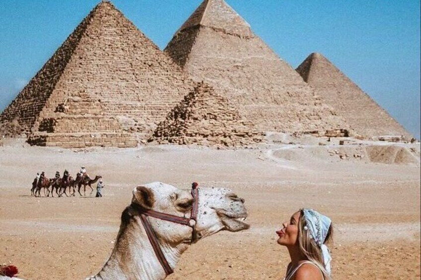 Half an Hour Camel Ride in Giza