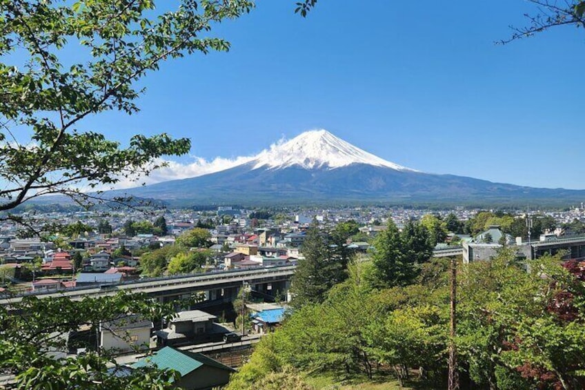 Private Day Trip Hakone Mt Fuji With English Speaking Driver