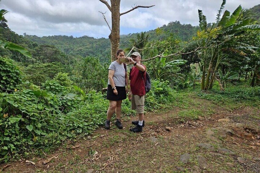 A taste of Grenada's authentic culture customizable island tour
