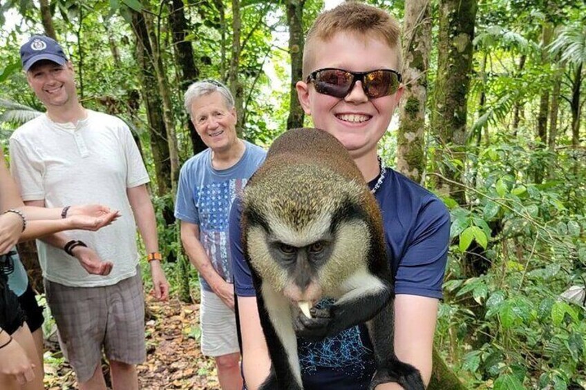 Grand Etang National park with the Mona monkey 