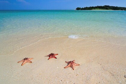 Excursión de un día al Pequeño Boracay Calatagan Batangas