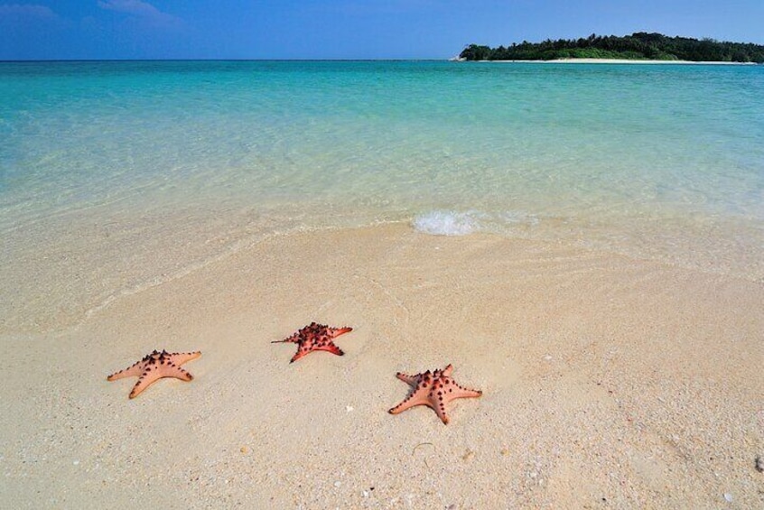 Little Boracay Calatagan Batangas Day tour
