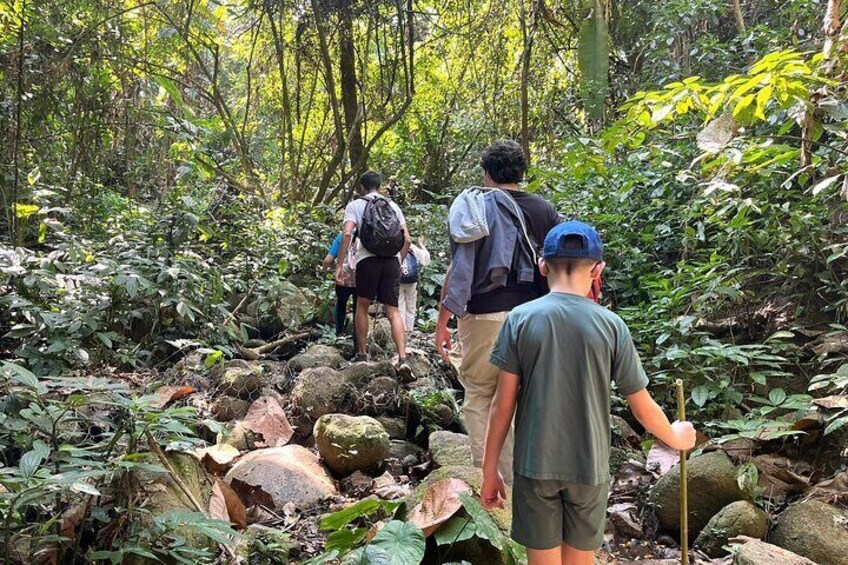 From Chiang Rai Jungle Adventure Group Trekking Bamboo Cooking
