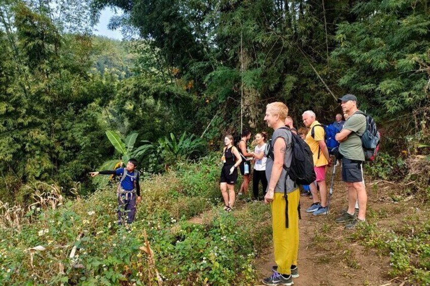 From Chiang Rai Jungle Adventure Group Trekking Bamboo Cooking