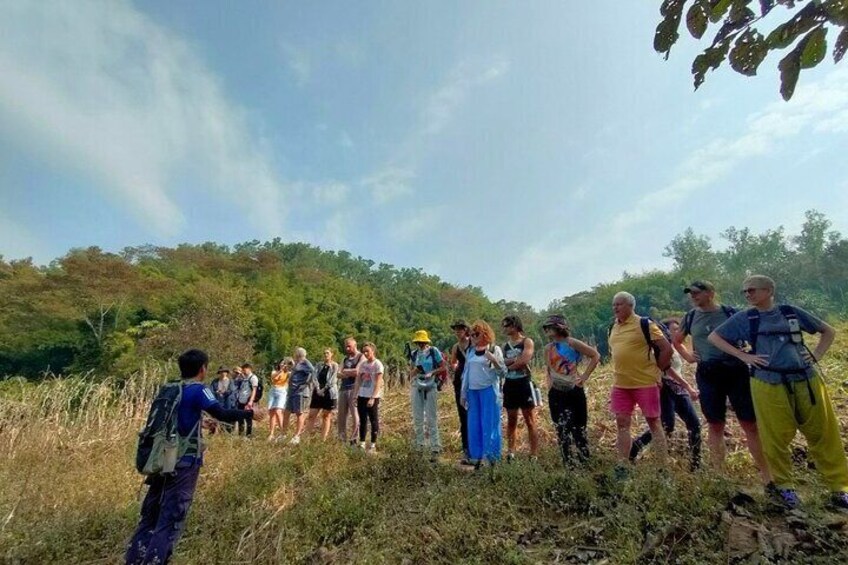 From Chiang Rai Jungle Adventure Group Trekking Bamboo Cooking
