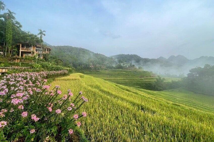 Mai Chau - Pu Luong: 3 Days 2 Nights Tour