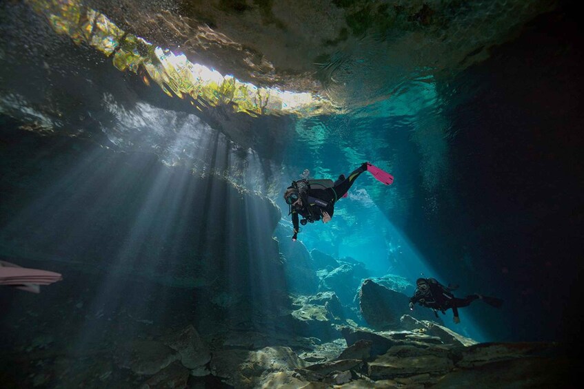 Playa del Carmen: Epic Dive at Cenote Chac Mool