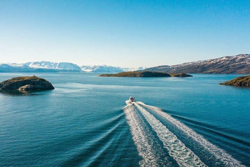Alta: 3-Hour Guided Adventure Cruise in Alta Fjord