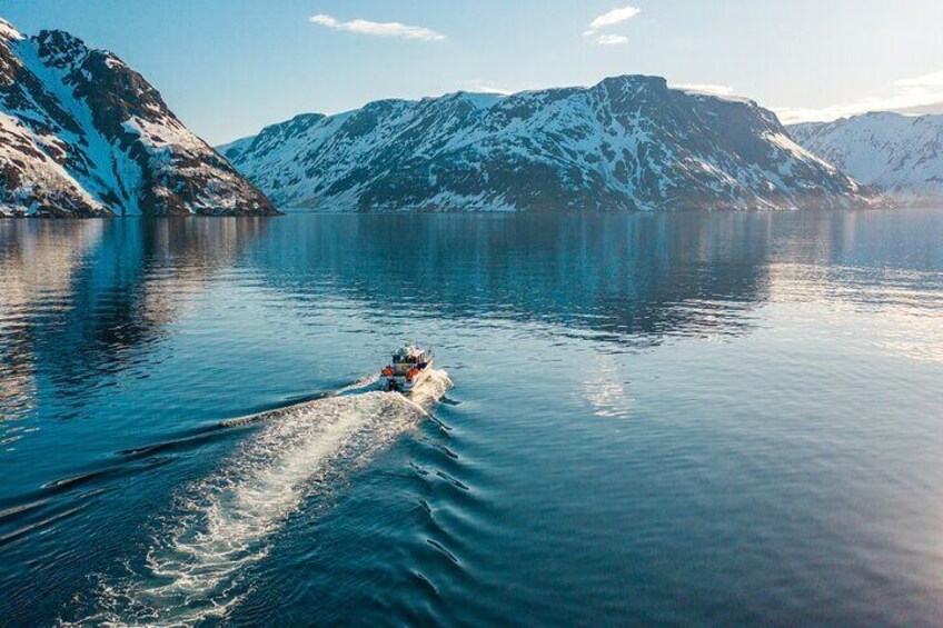 Alta: 3-Hour Guided Adventure Cruise in Alta Fjord