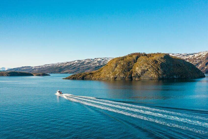 Alta: 3-Hour Guided Adventure Cruise in Alta Fjord
