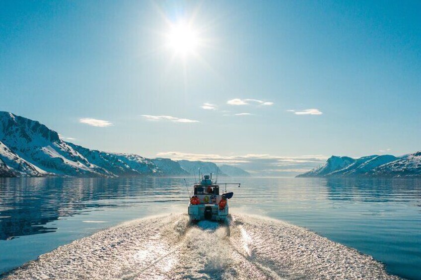Alta: 3-Hour Guided Adventure Cruise in Alta Fjord