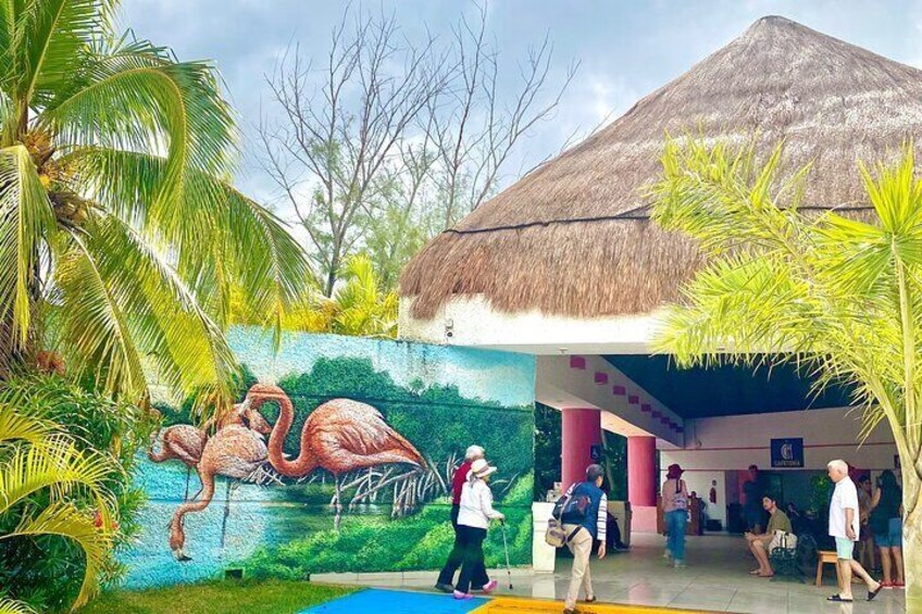 Tourist stops in Celestun 
