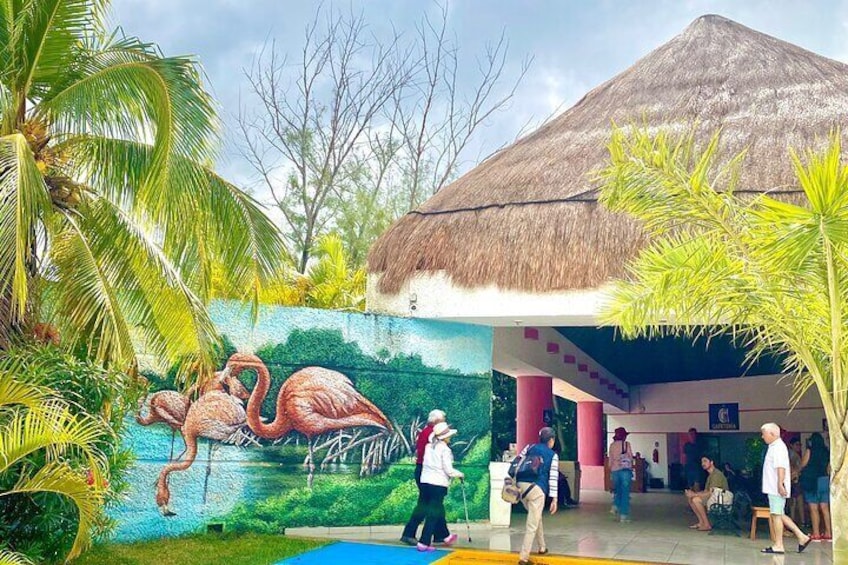 Tourist stops in Celestun
