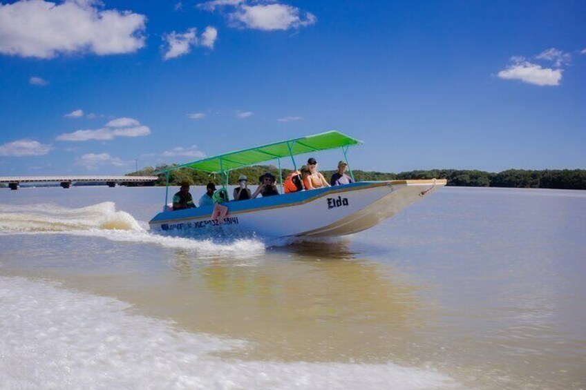 Boat trip through the biosphere to see flamingos and other birds