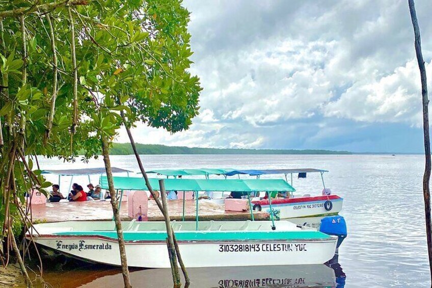 Celestun Flamingos Beach & Seafood Tour departure from Merida