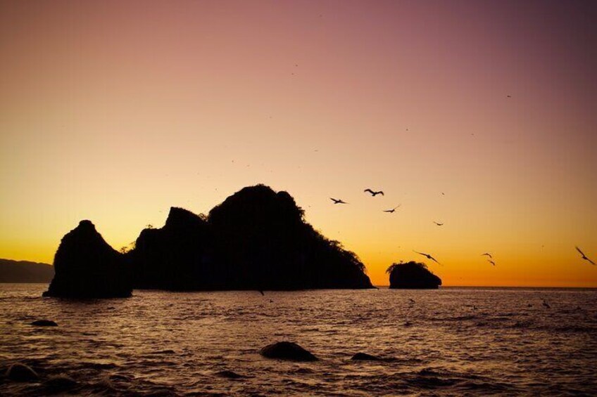 Sunset and Bioluminescence Boat Tour at Los Arcos Islands